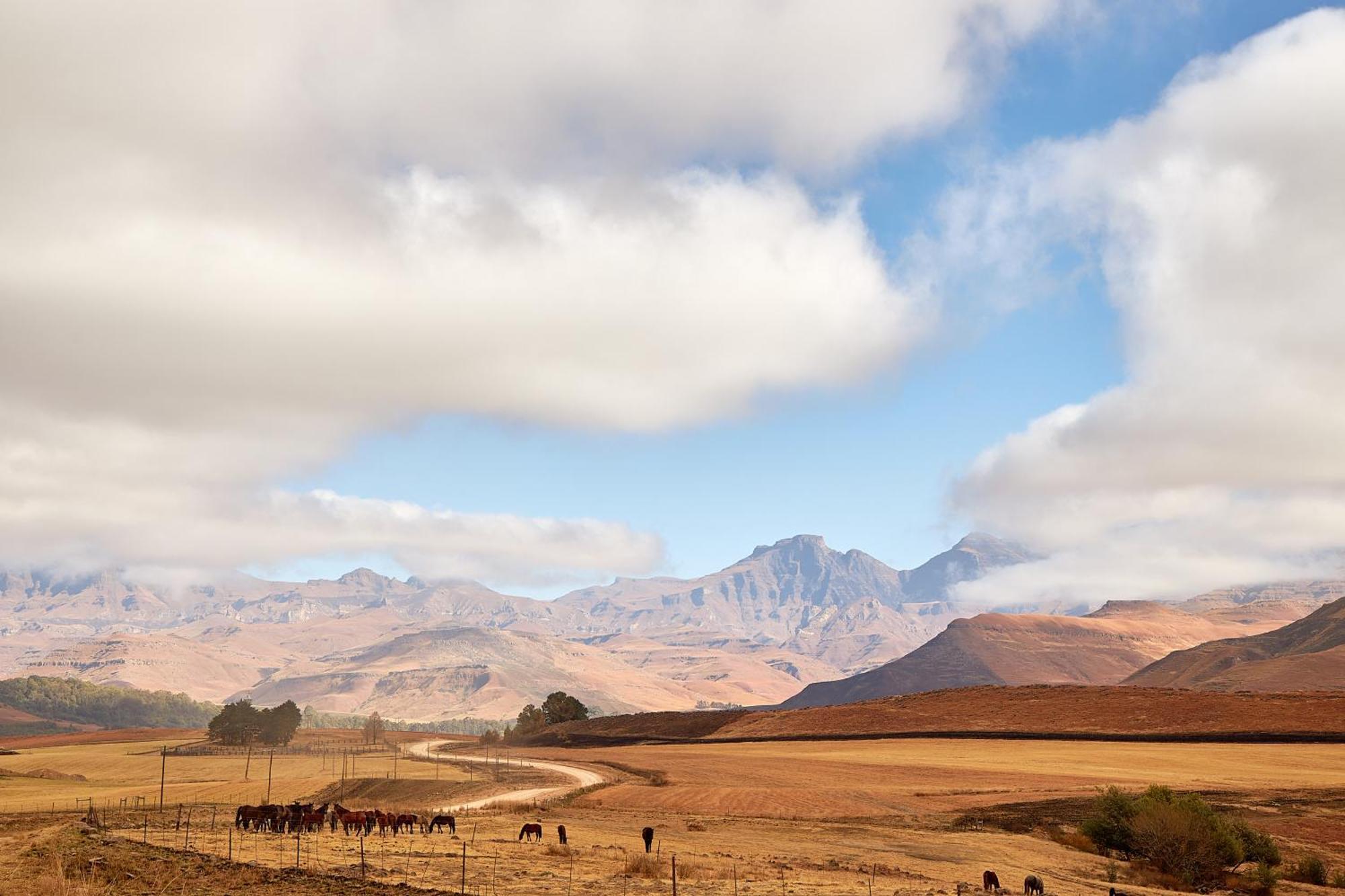 First Group Bushman'S Nek Hotel Drakensberg Garden Exterior photo